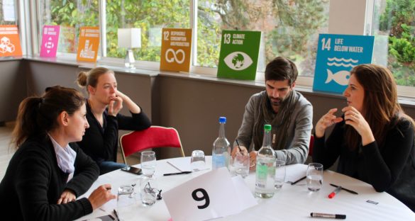 SDG dag foto LSA